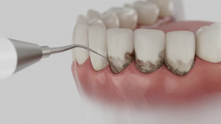Reliable Dental contractor in Castle Point, MO by Dentist Open Now